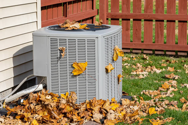 Best Affordable HVAC Services  in Paradise, NV
